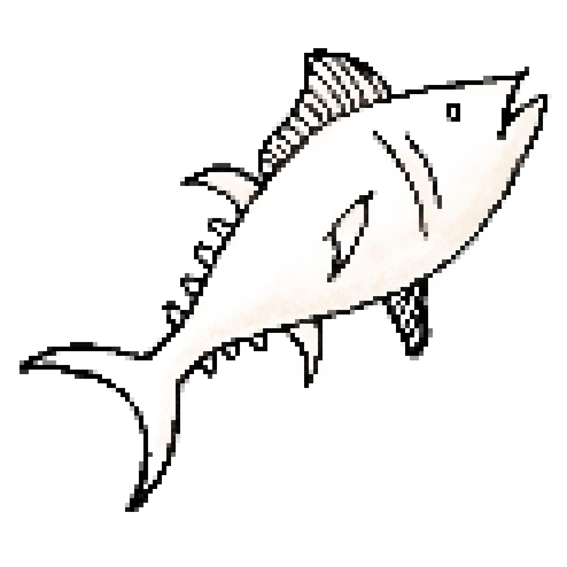 Picture of a tuna fish